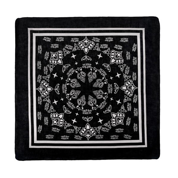 1_d066dcb2-080b-48c1-ad59-