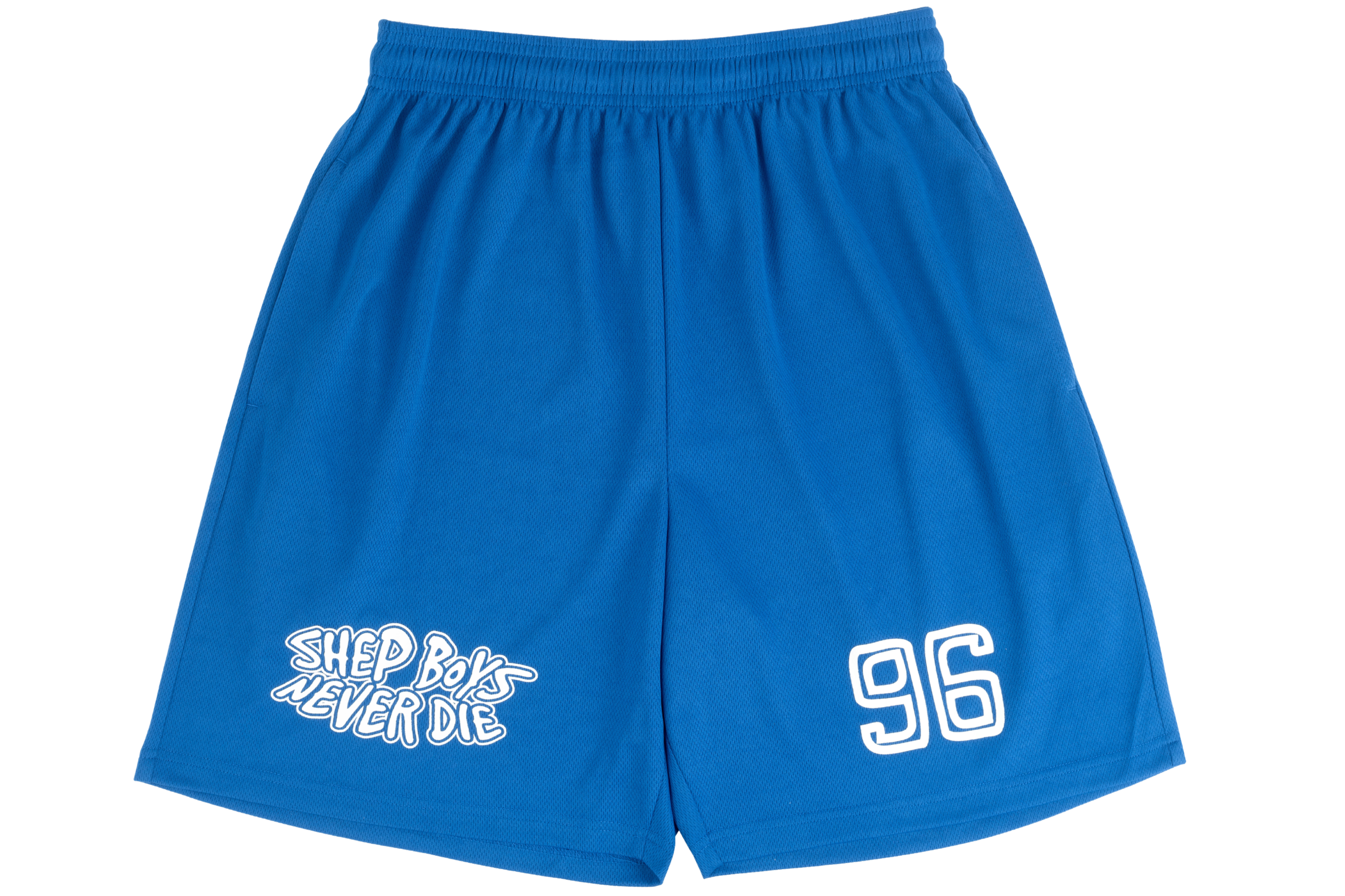 Blue Wesh Shorts